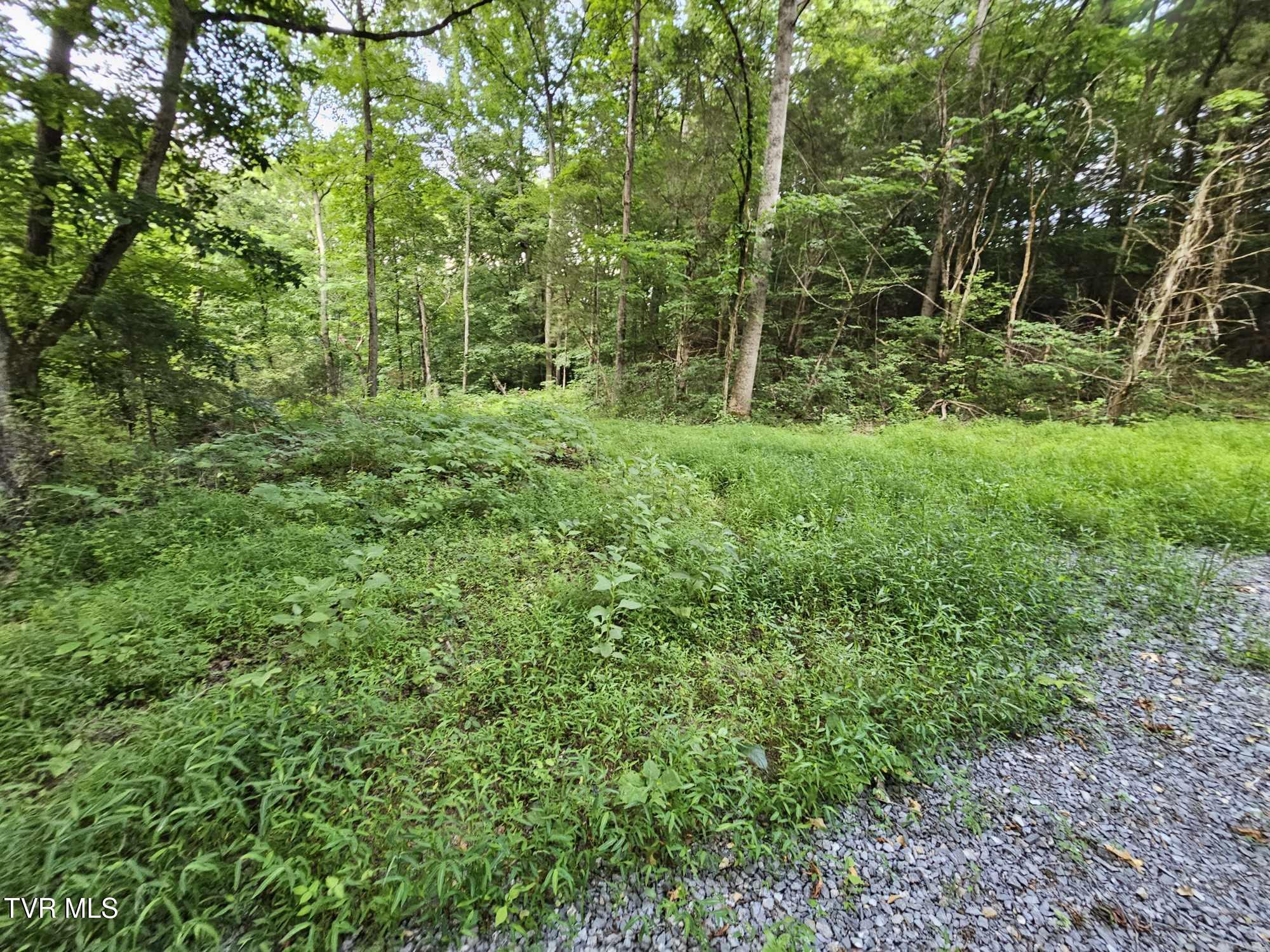 2264 Devault Bridge Road Piney Flats, TN 37686 - Photo 7 of 29 78885d9a-24eb-480e-ae90-88c4e4e99bdf