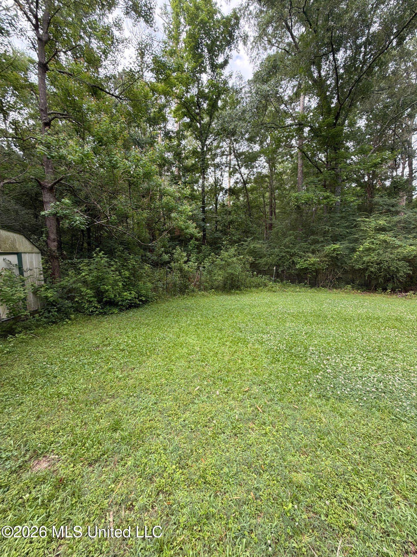 118 Canterbury Road Brandon, MS 39042 - Photo 8 of 60 13-May 19, 2026 13-06-06-YhGg