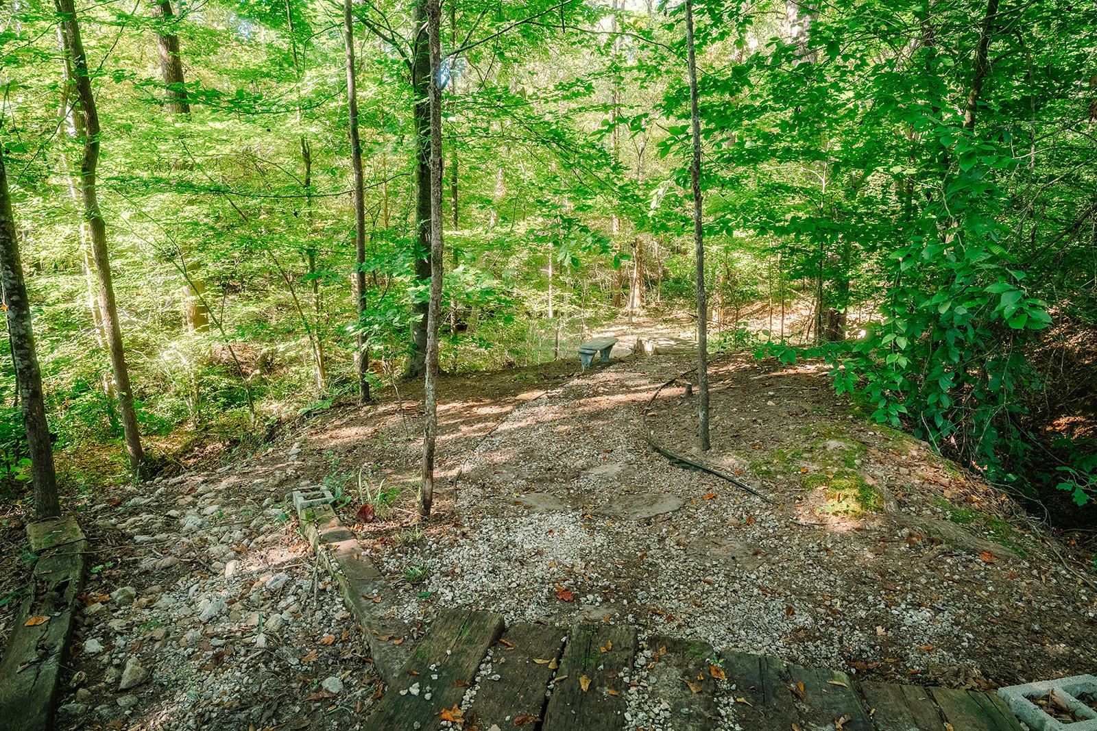 433 Foster Lake Road Blacksburg, SC 29702 - Photo 46 of 50