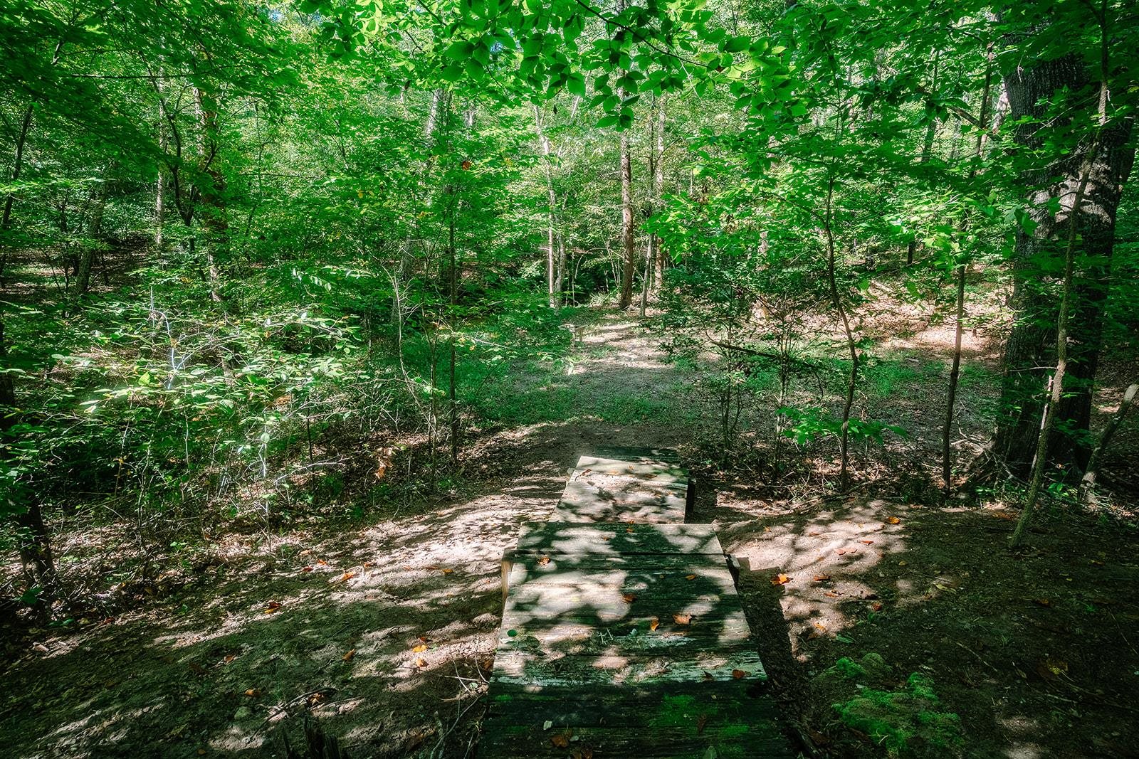 433 Foster Lake Road Blacksburg, SC 29702 - Photo 47 of 50