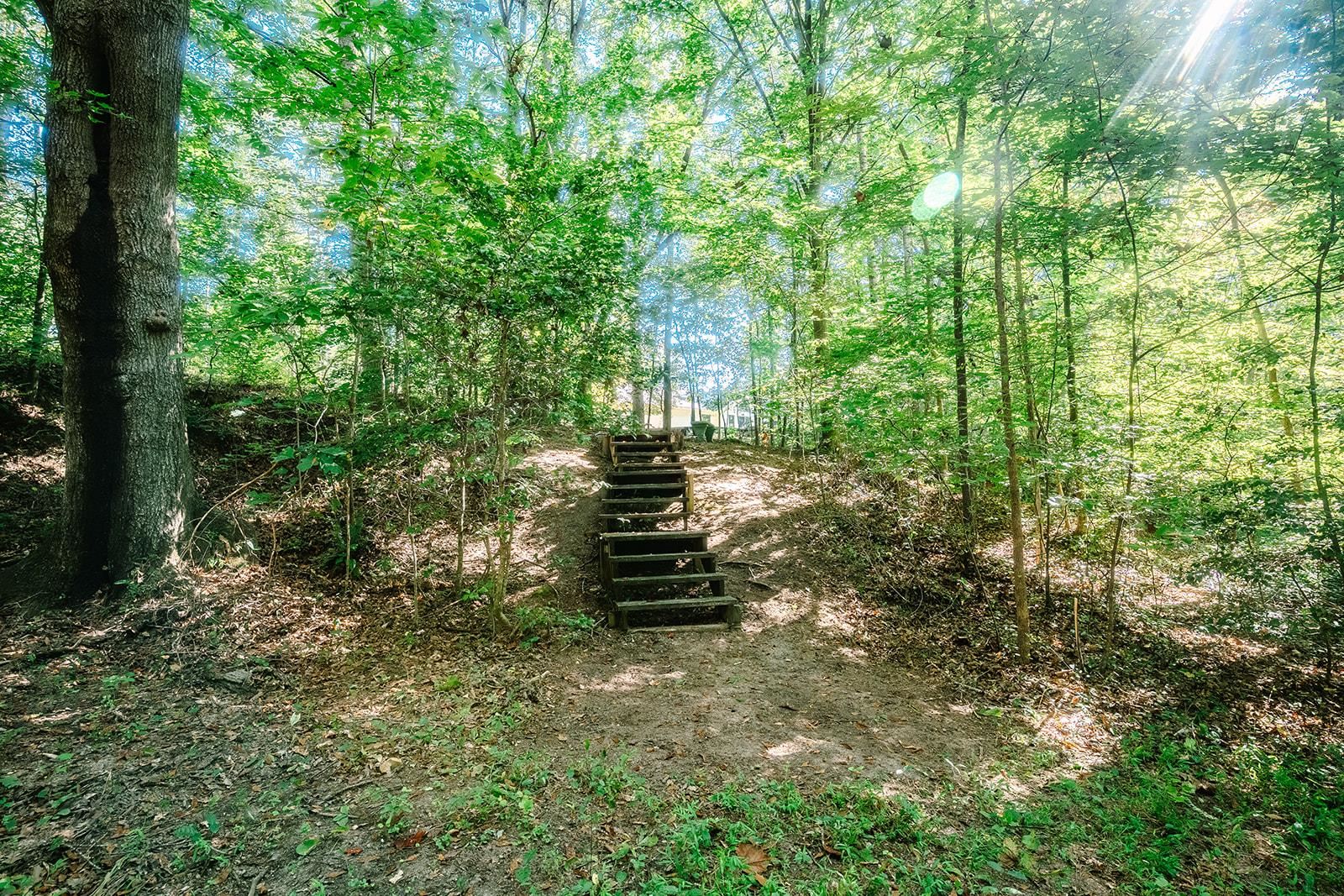 433 Foster Lake Road Blacksburg, SC 29702 - Photo 48 of 50