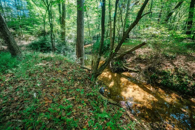 $450,000 | 433 Foster Lake Road, Blacksburg, SC 29702