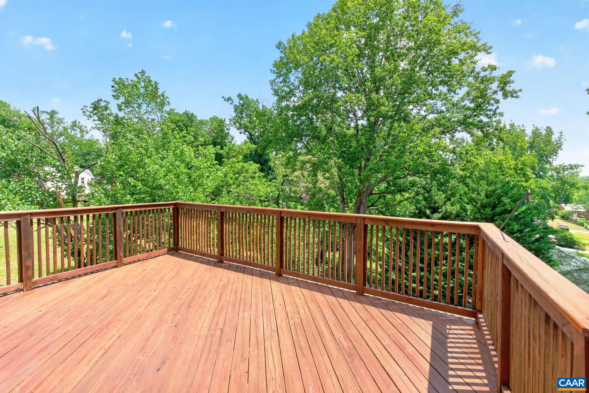 258 Shamrock Road Charlottesville, VA 22903 - Photo 43 of 55