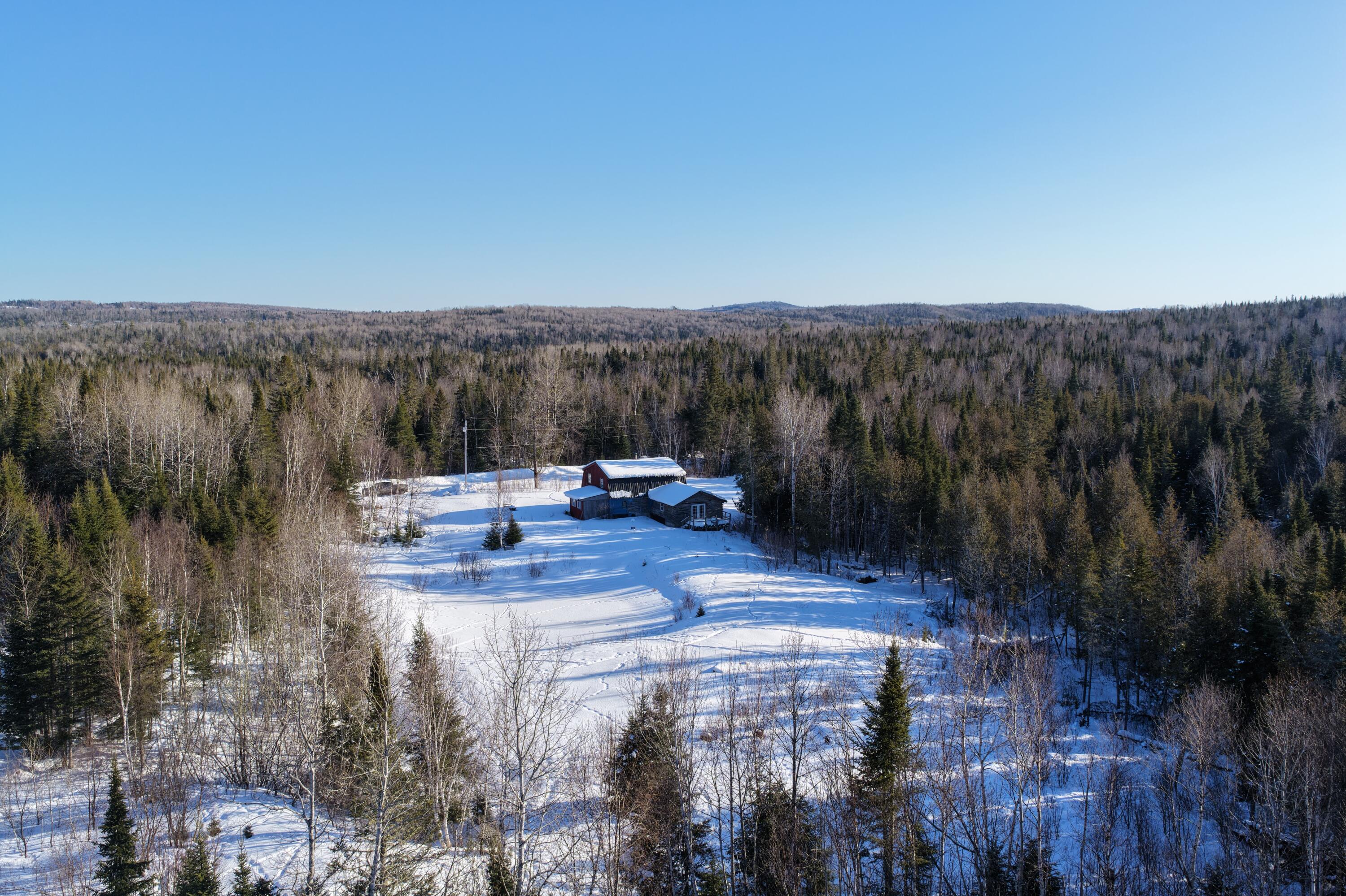 1130 Wrightville Road Ashland, ME 04732 - Photo 5 of 13 DJI_20260217040929_0185_D