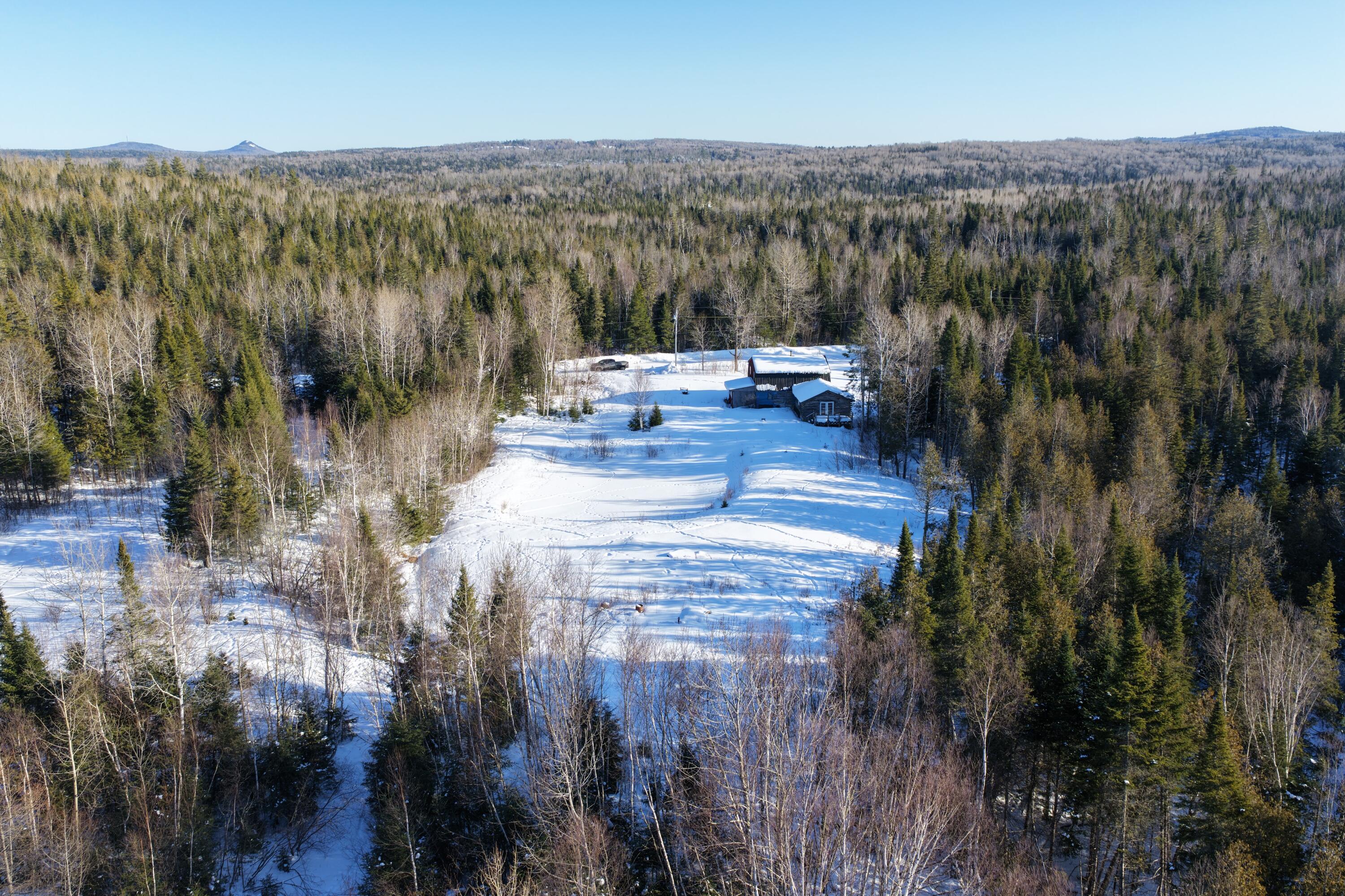 1130 Wrightville Road Ashland, ME 04732 - Photo 6 of 13 DJI_20260217041019_0188_D