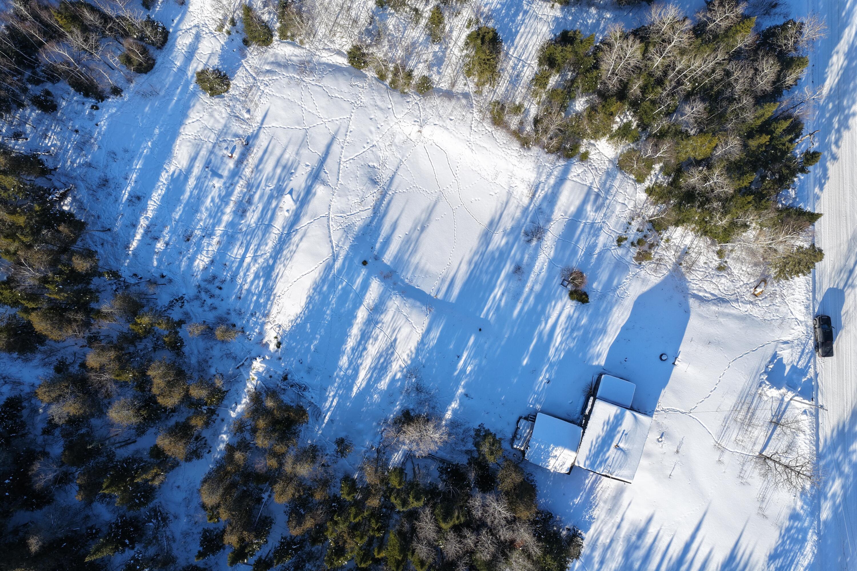1130 Wrightville Road Ashland, ME 04732 - Photo 7 of 13 DJI_20260217041044_0189_D