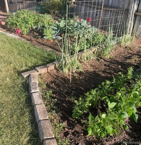 $568,000 | 10443 King Street, Westminster, CO 80031