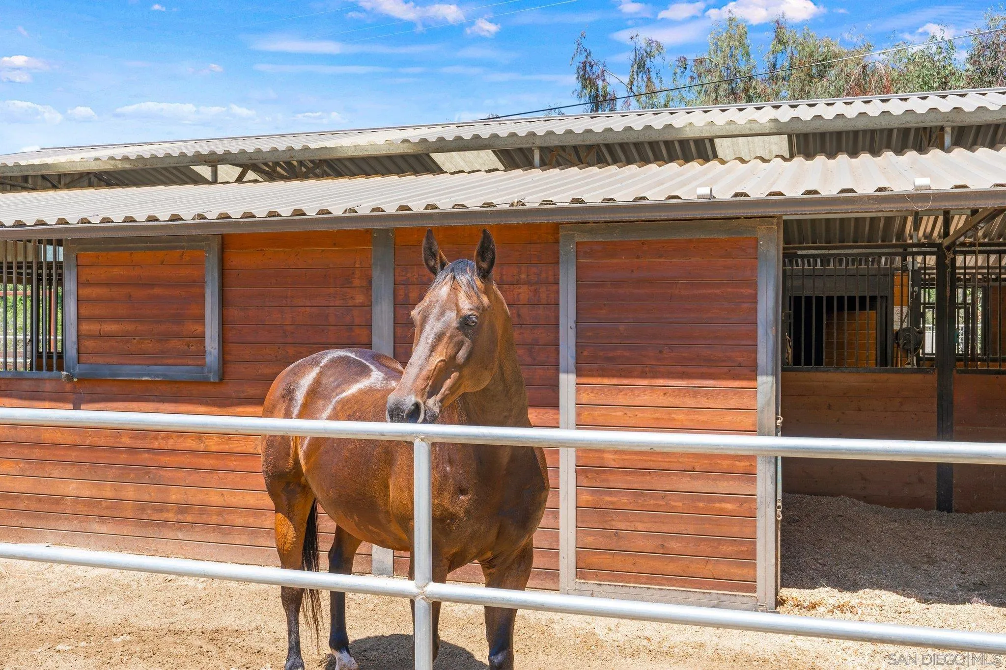 3111 Brookside Lane Encinitas, CA 92024 - Photo 24 of 40 a view of a balcony with an ocean view