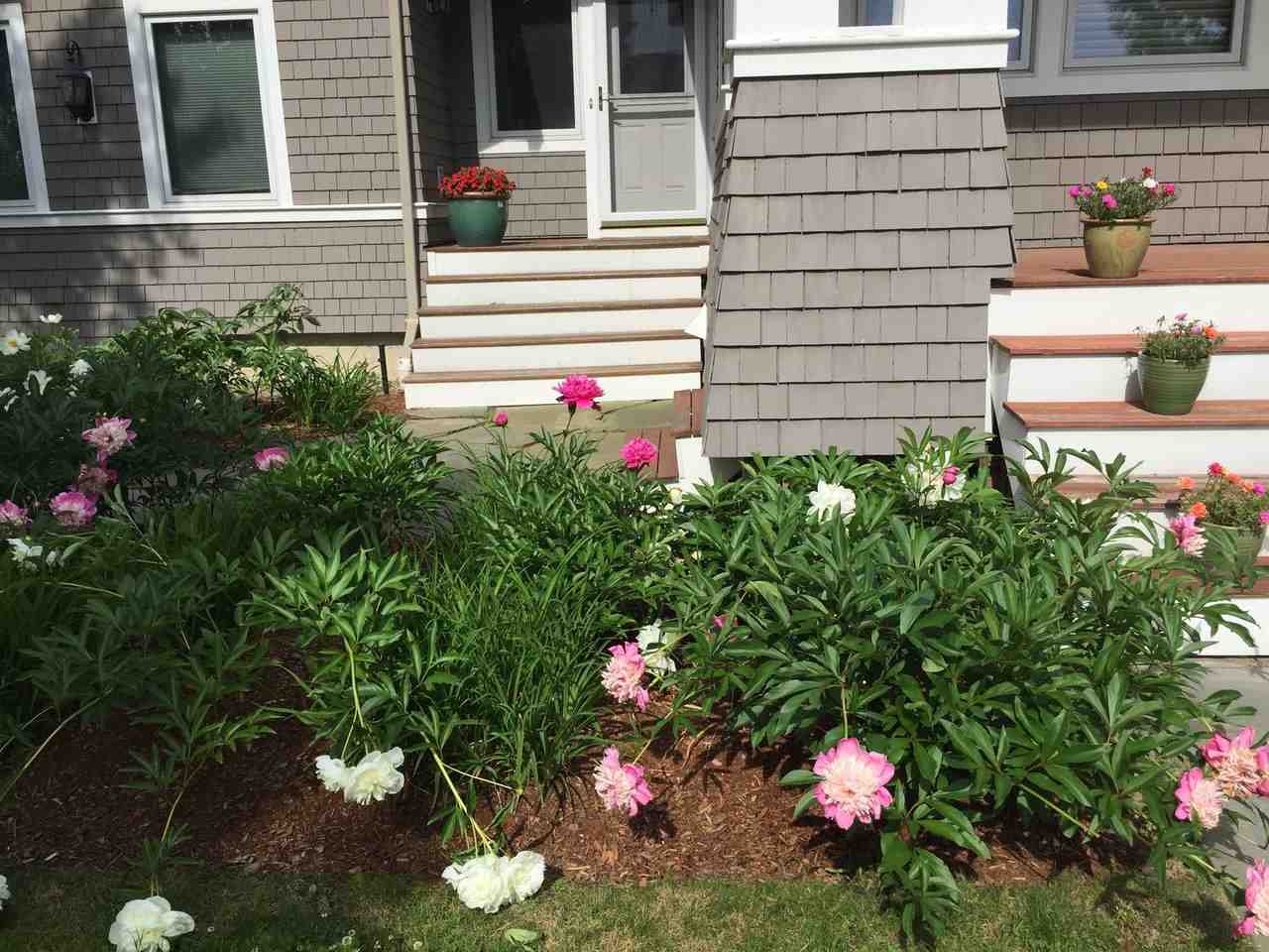 6 Park Road South Burlington, VT 05403 - Photo 38 of 40