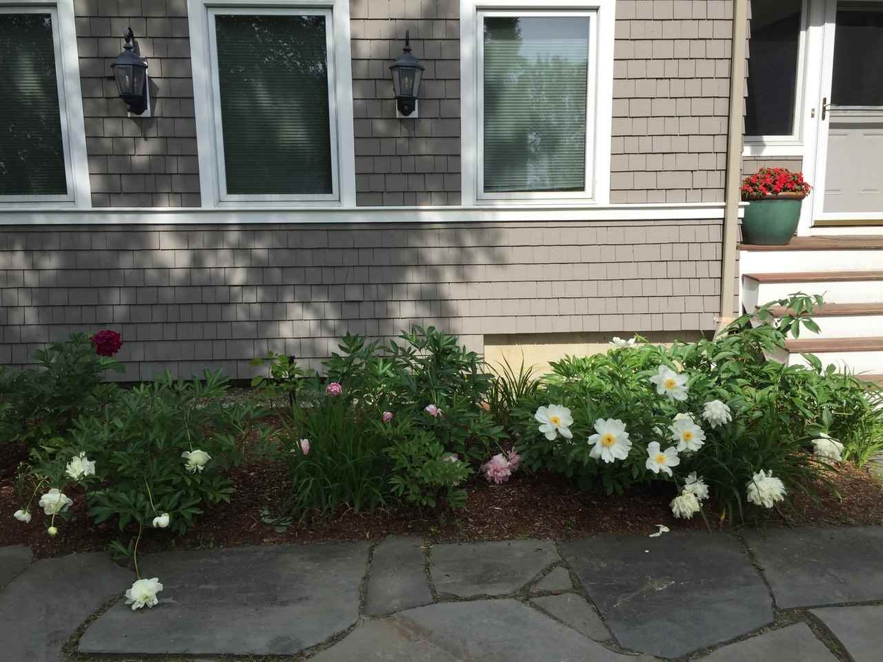 6 Park Road South Burlington, VT 05403 - Photo 39 of 40