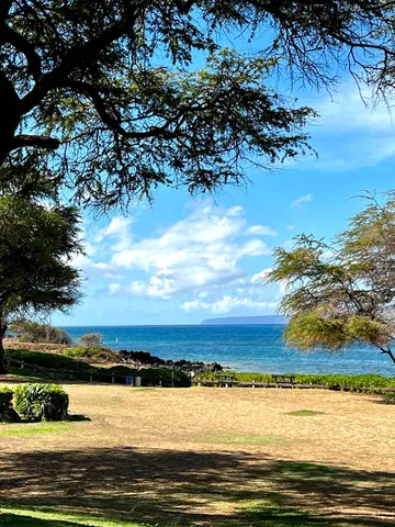 a view of a yard with an outdoor space