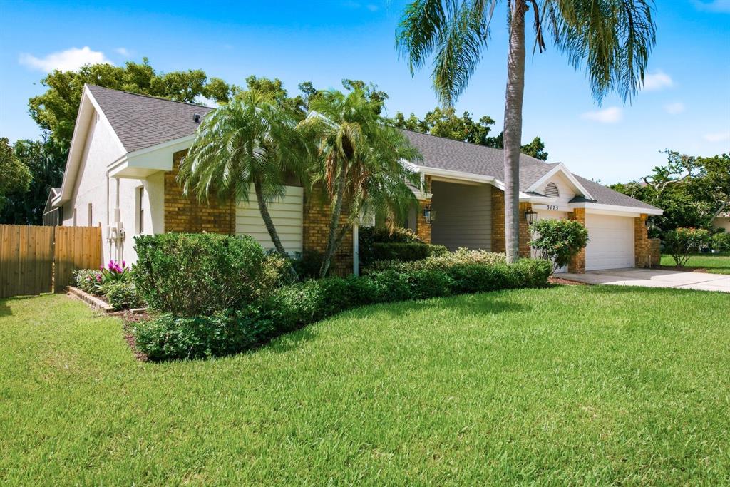 3175 Sandy Ridge Drive Clearwater, FL 33761 - Photo 55 of 69