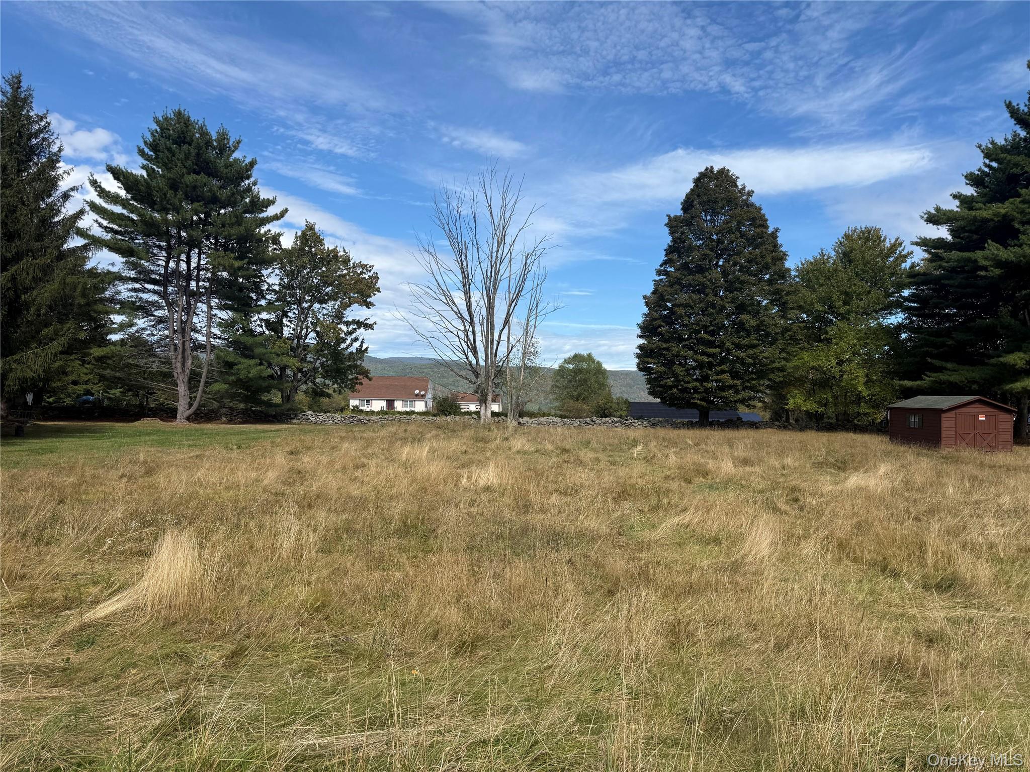 Hall Road Grahamsville, NY 12740 - Photo 2 of 4 View of lot with a storage unit and a view of countryside