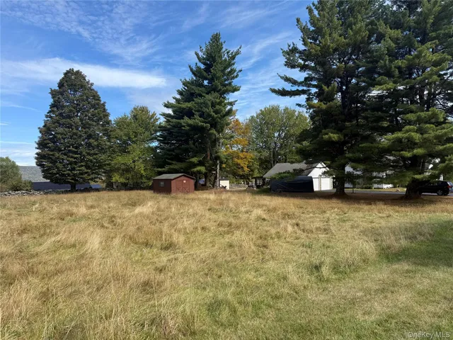 $99,900 | Hall Road, Grahamsville, NY 12740