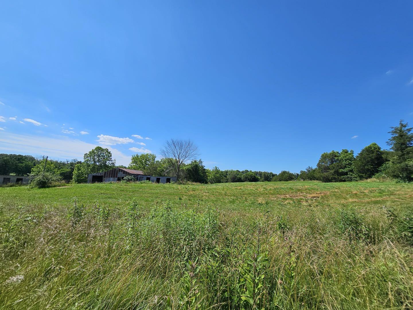 0 Deep Wl Wds Road Crab Orchard, KY 40419 - Photo 11 of 16 rs20250702_16064527