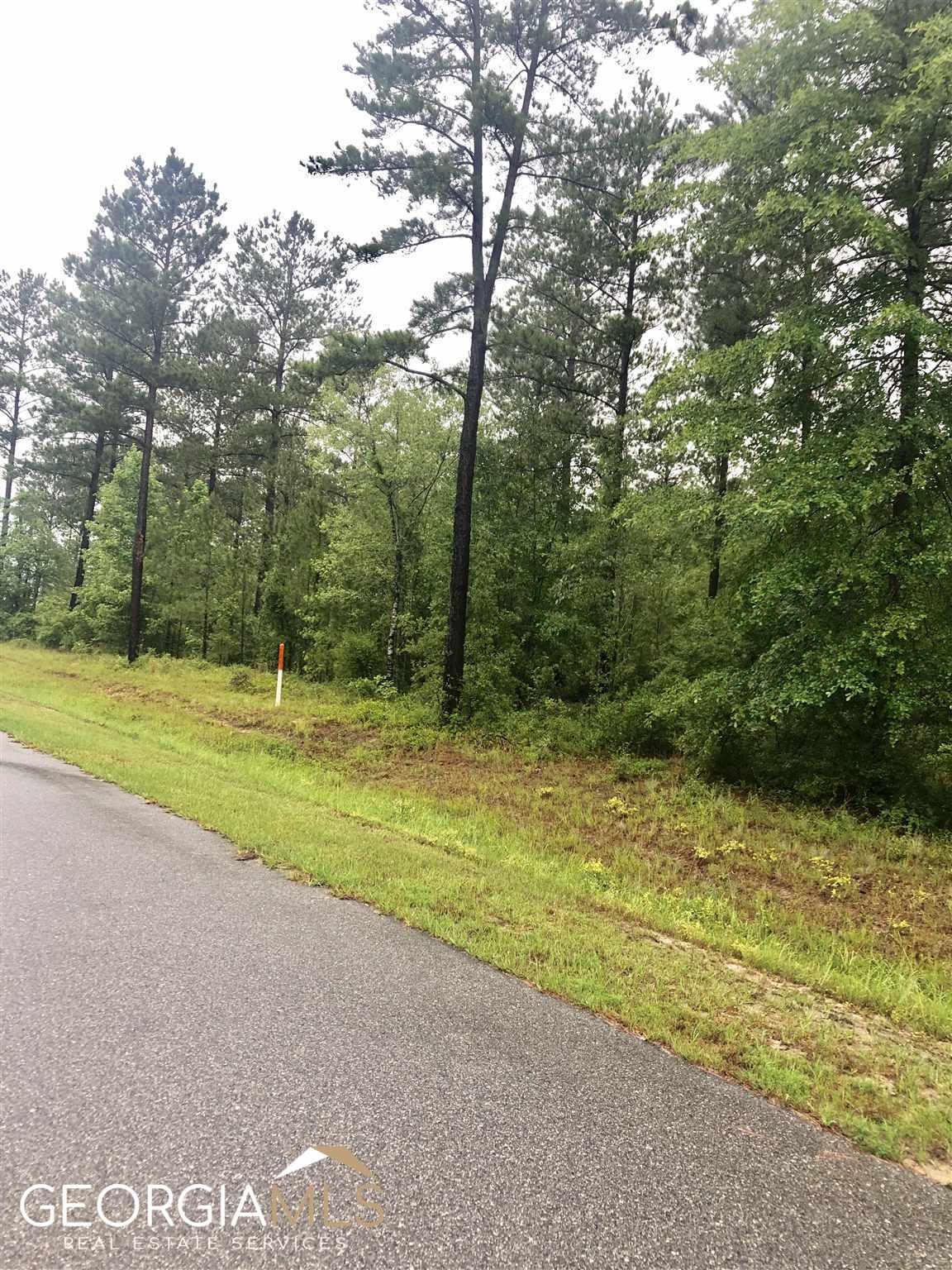 0 Grey Wolf Trail, Unit LOT 151 Dublin, GA 31021 - Photo 2 of 6 a view of a field with trees in the background