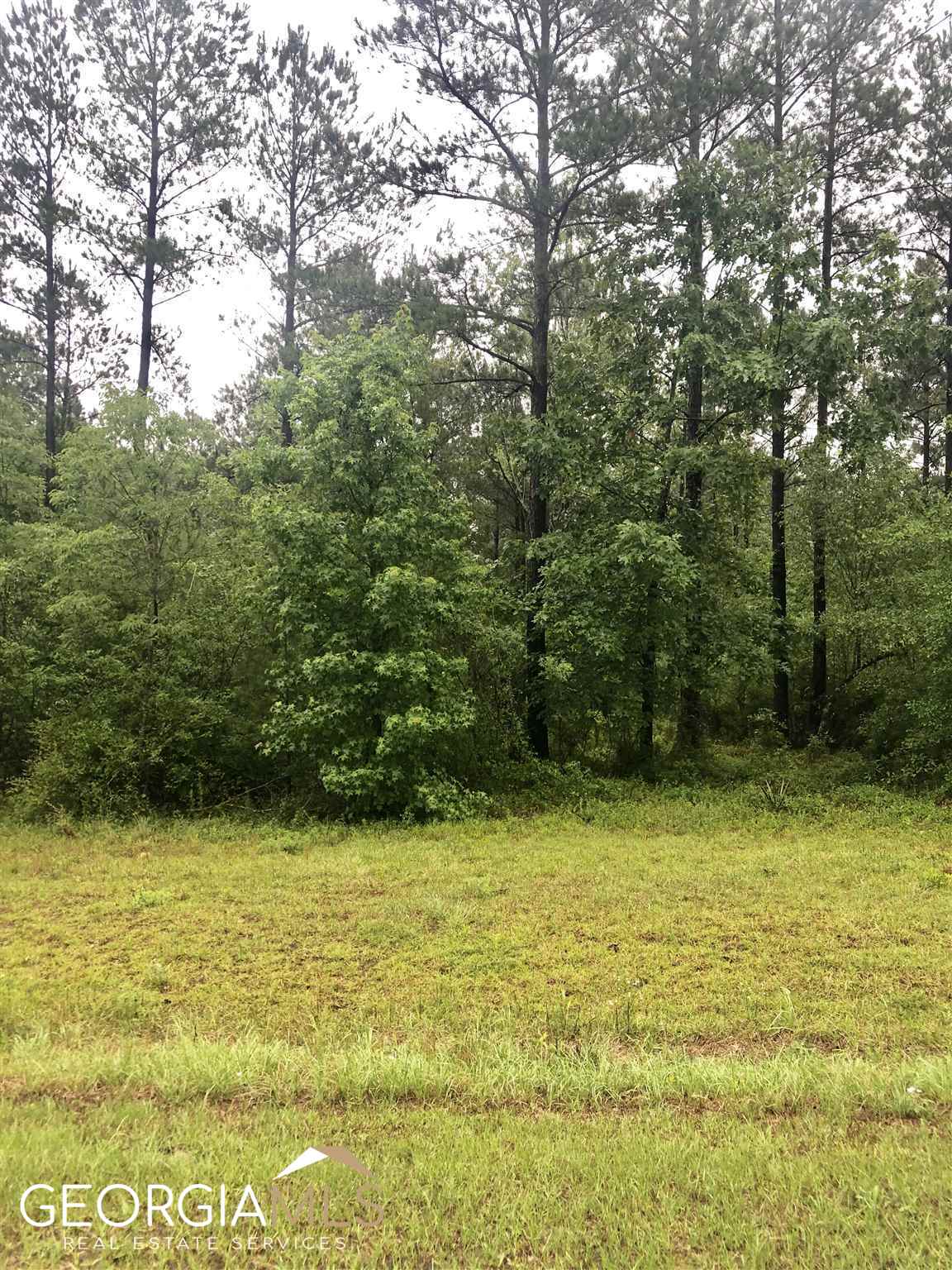 0 Grey Wolf Trail, Unit LOT 151 Dublin, GA 31021 - Photo 6 of 6 a view of a yard with an outdoor space