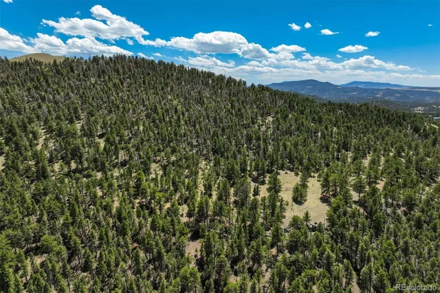 a view of a bunch of flowers