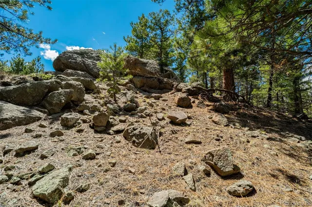 a view of a tree with a yard