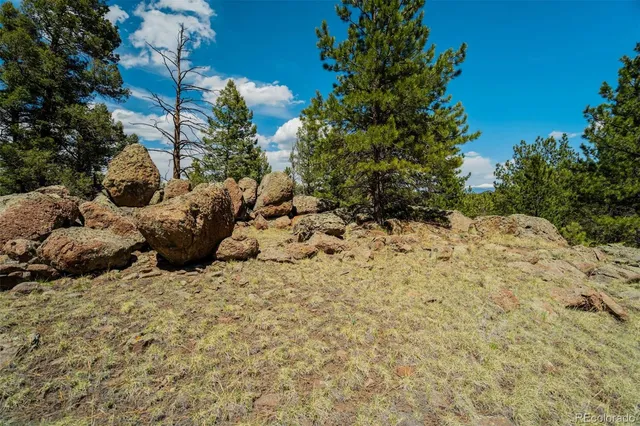 a view of swimming pool with a yard