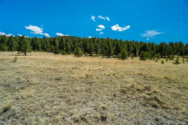 a view of a yard with a tree