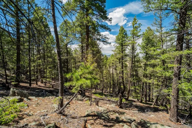 a view of a tree with a yard