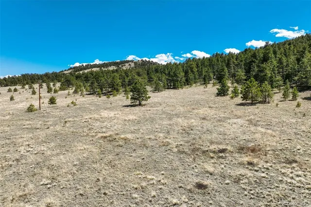a view of a field with trees in the background