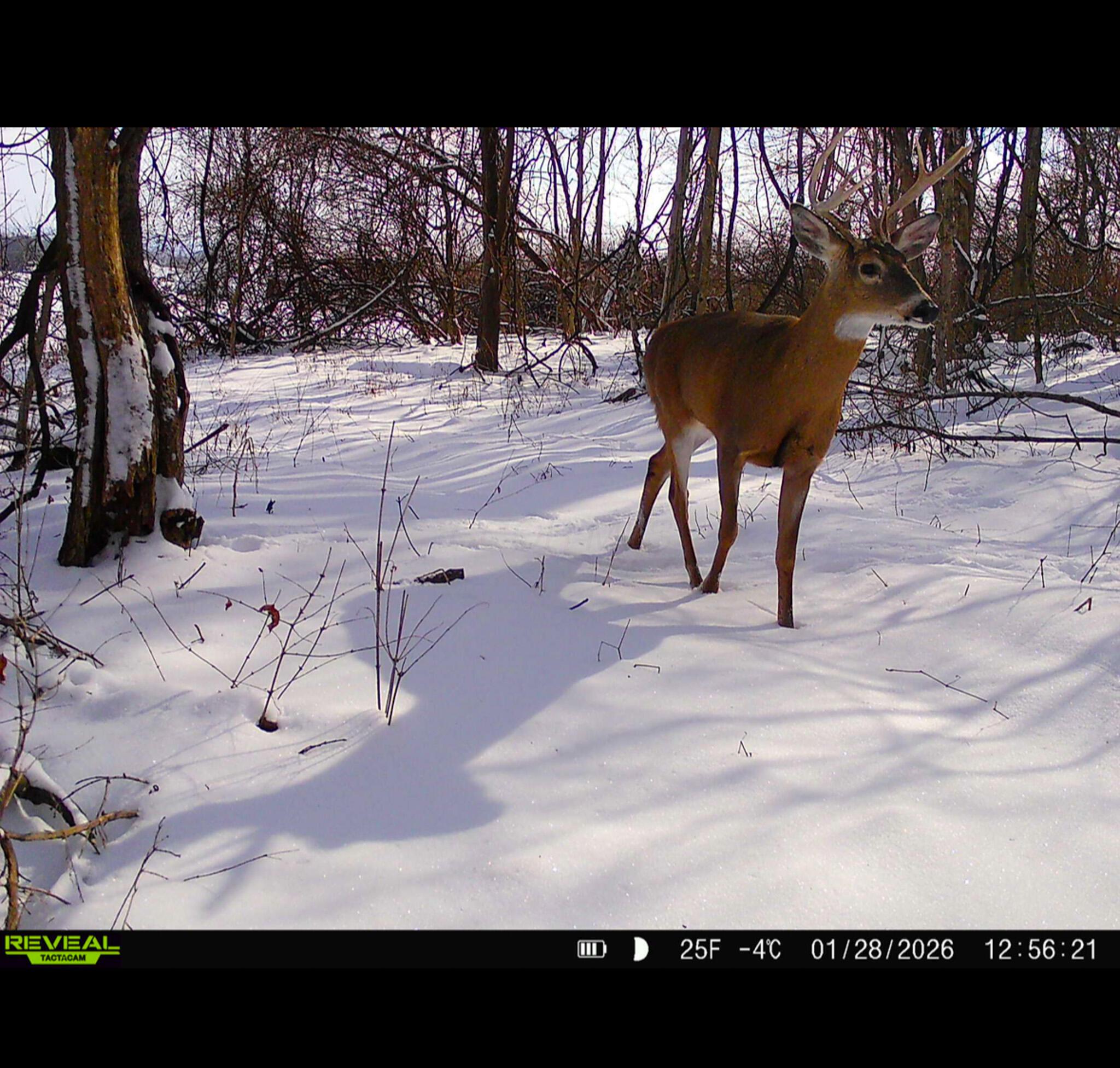 9874 Cincinnati-Zanesville Road Southwest Amanda, OH 43102 - Photo 43 of 50 cinci-zane rd sw-43