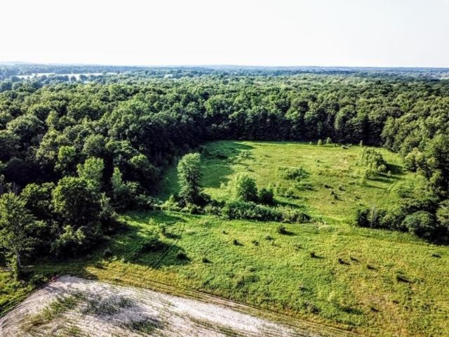 0 Doty Road Osseo, MI 49266 - Photo 1 of 16 IMG_1555