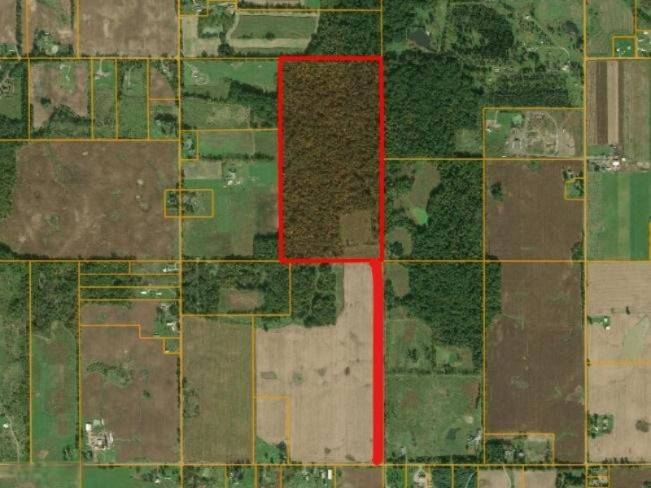 0 Doty Road Osseo, MI 49266 - Photo 3 of 16 Aerial 80 Acre w/easement
