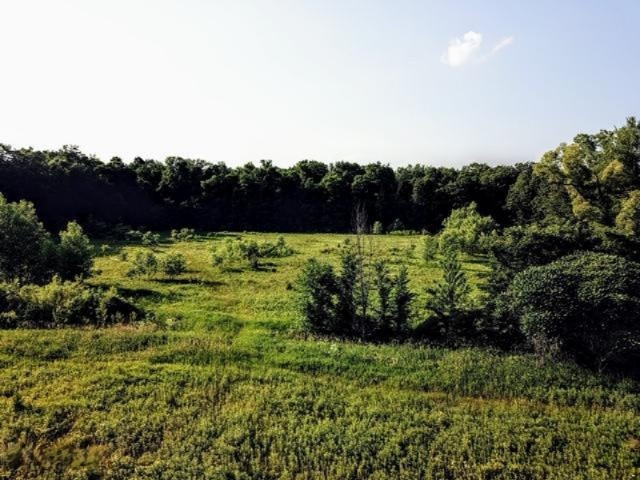 0 Doty Road Osseo, MI 49266 - Photo 8 of 16 IMG_1564