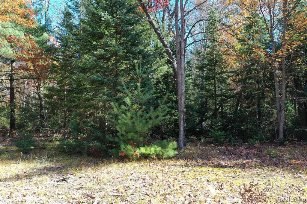 0 Woodbridge Road St. Helen, MI 48656 - Photo 16 of 16