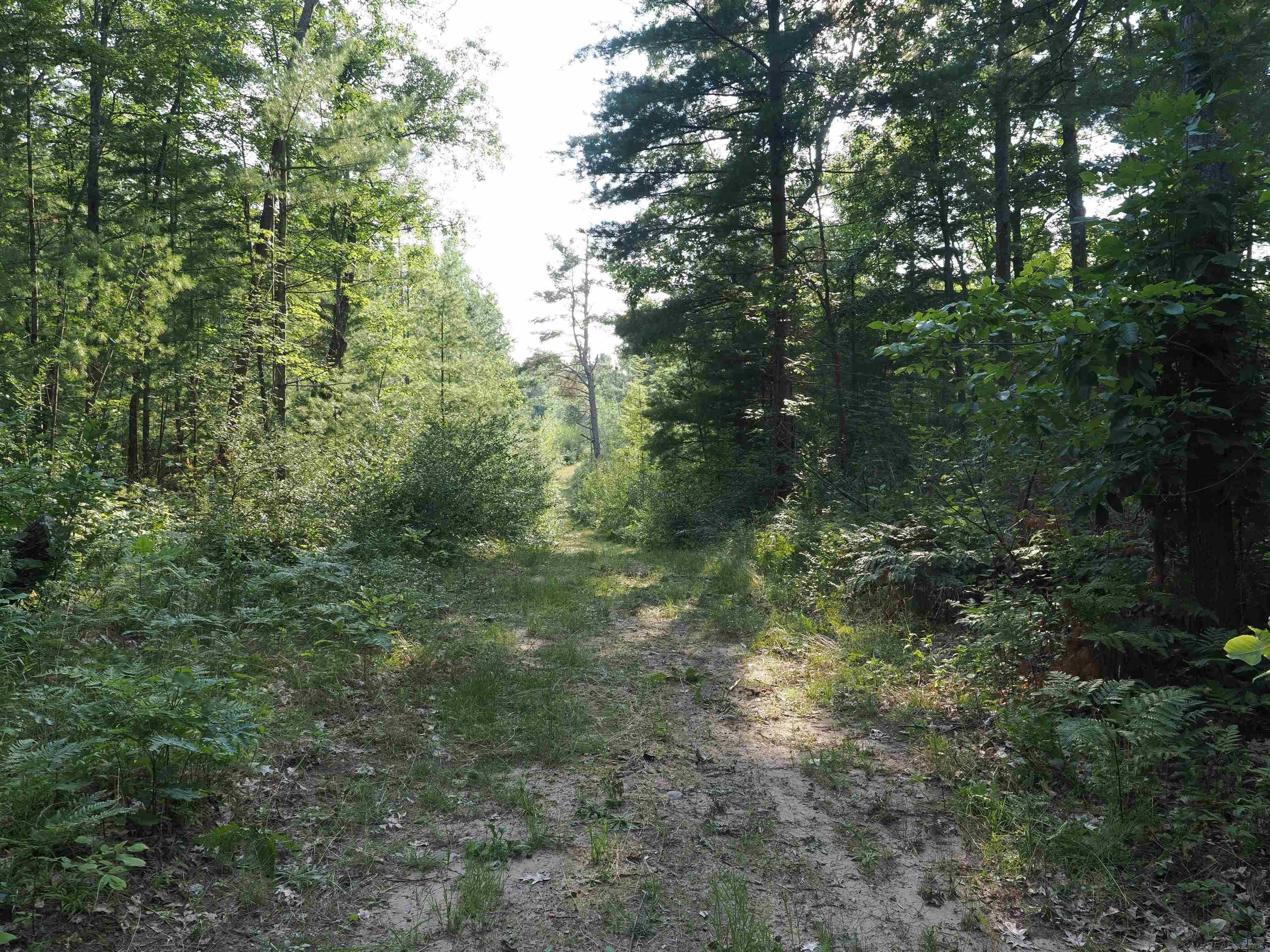 Xxx Emig Road Comins, MI 48619 - Photo 63 of 63 Gallery Image 63