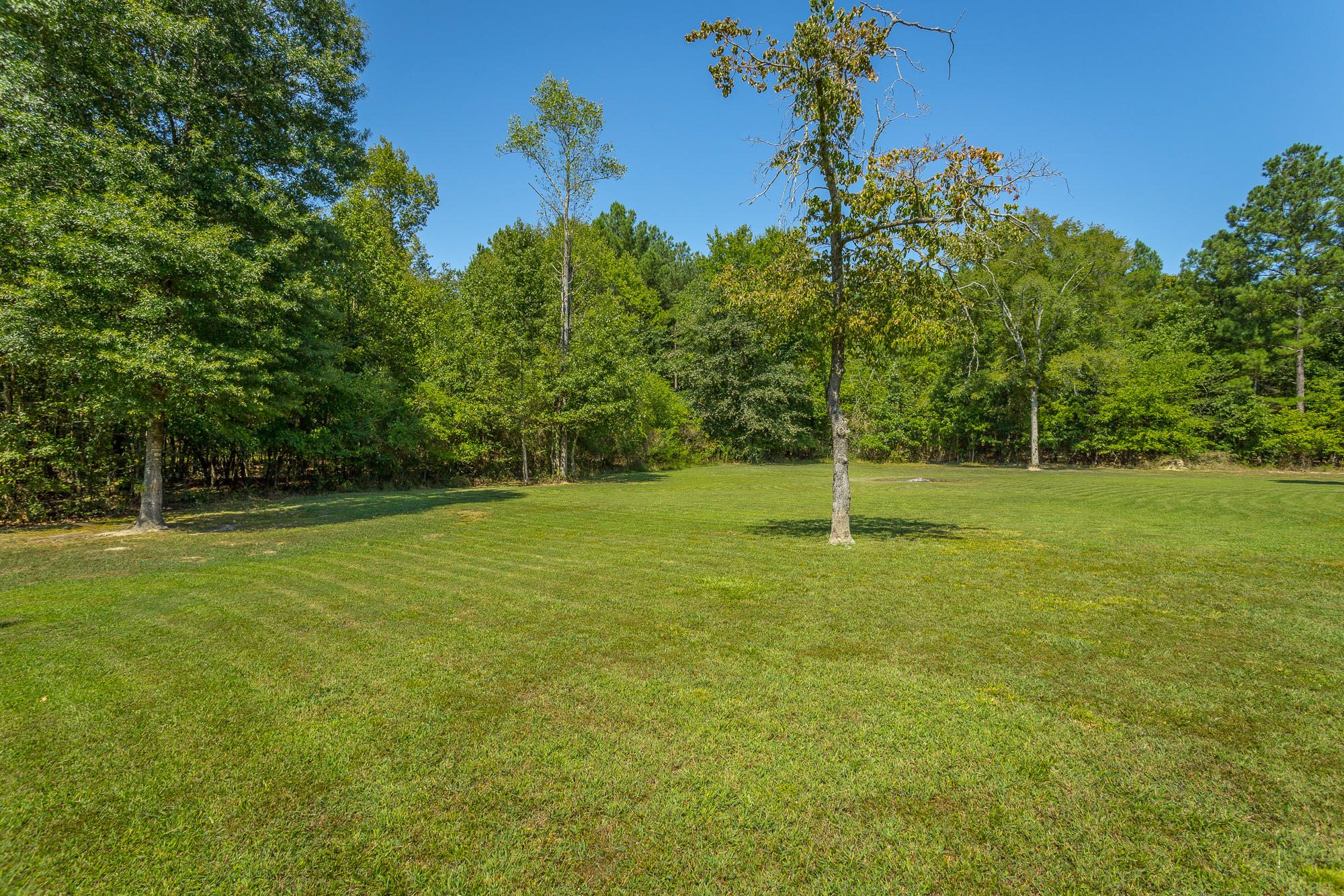 1890 Temperance Hall Road Rock Spring, GA 30739 - Photo 61 of 79 Side Yard