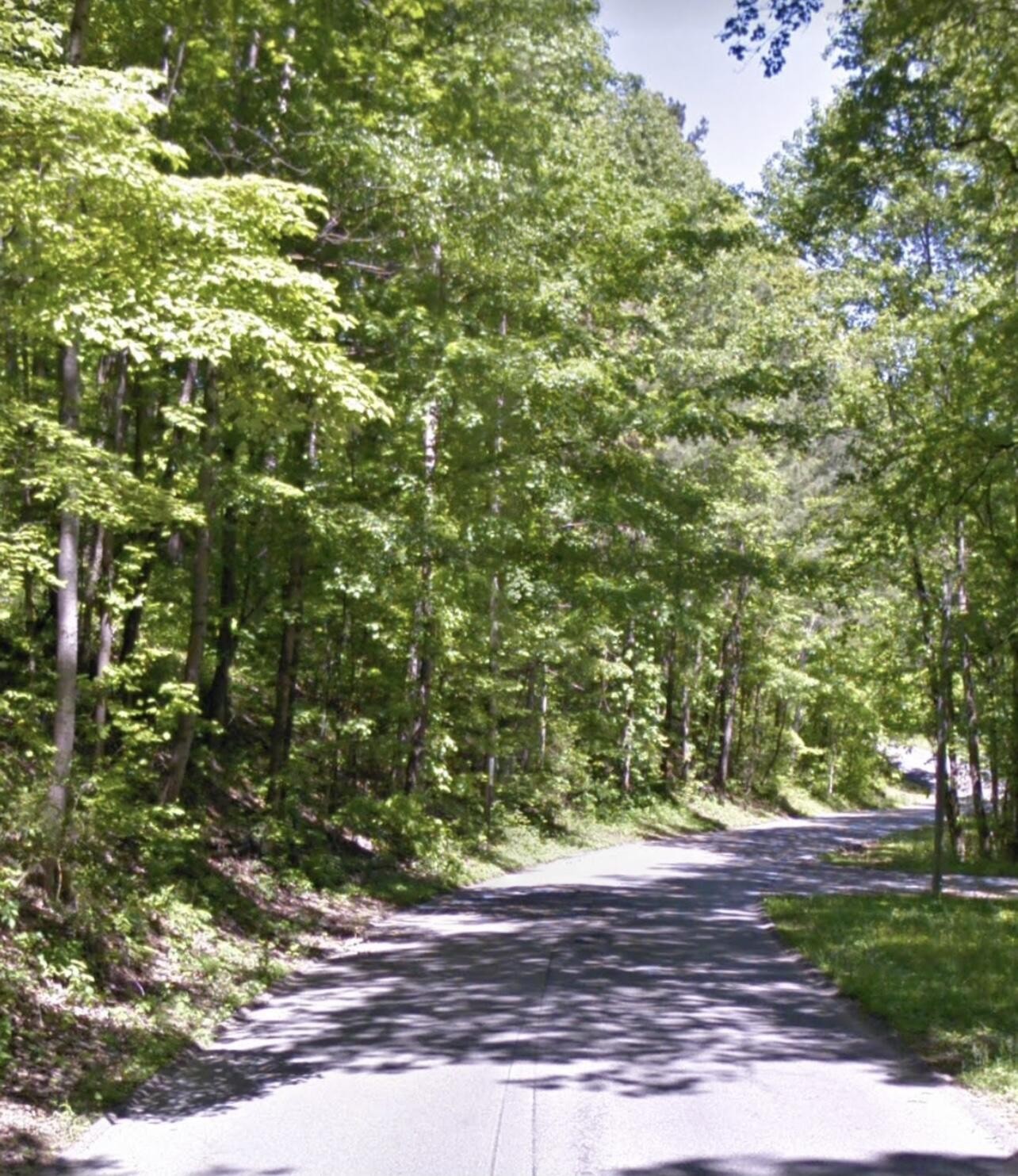 1075 Hurricane Creek Road Chattanooga, TN 37421 - Photo 2 of 4