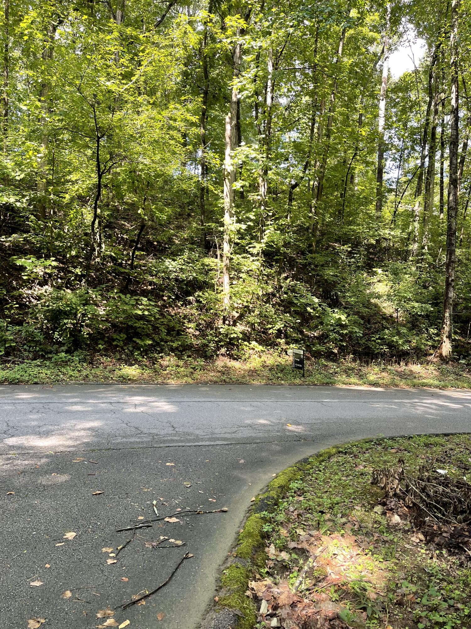 1075 Hurricane Creek Road Chattanooga, TN 37421 - Photo 4 of 4