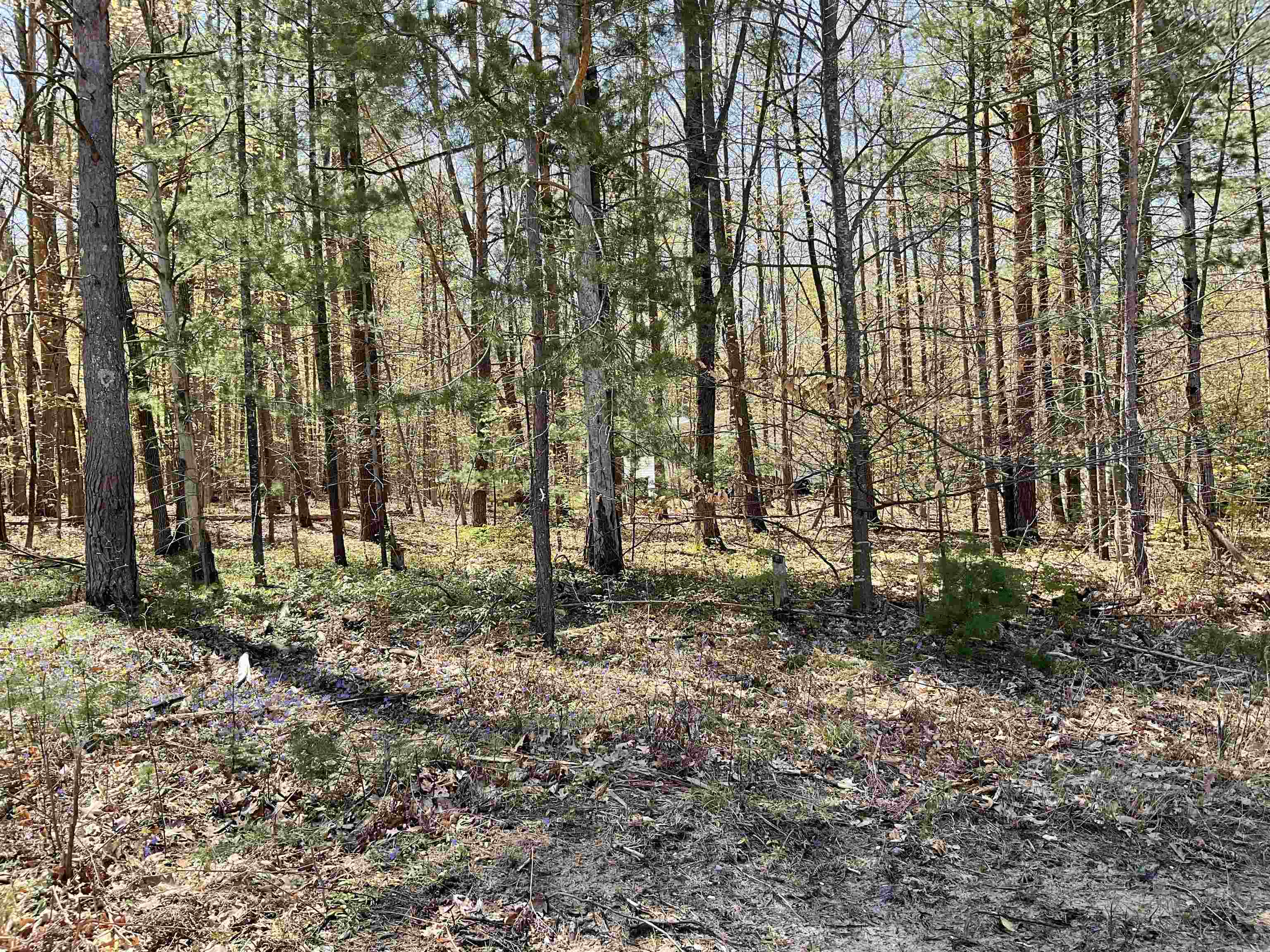 Lot 3-4 Diamond Park Road Interlochen, MI 49643 - Photo 1 of 11