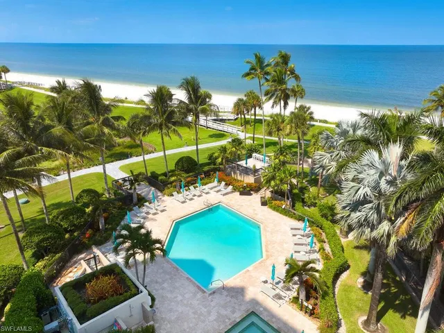 a view of a flower in a yard