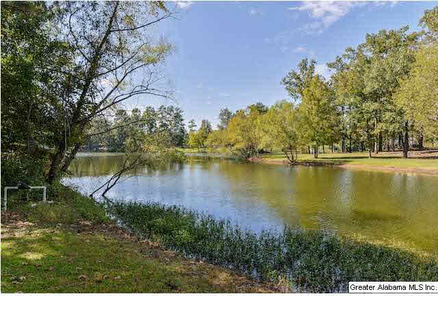 113 Canter Way Alabaster, AL 35007 - Photo 32 of 32