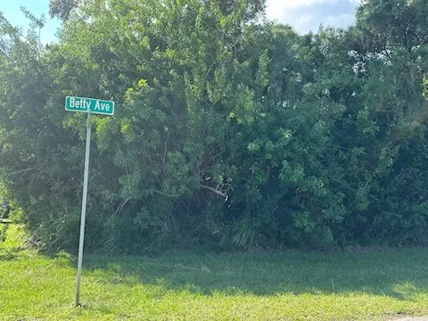 a view of a lake view