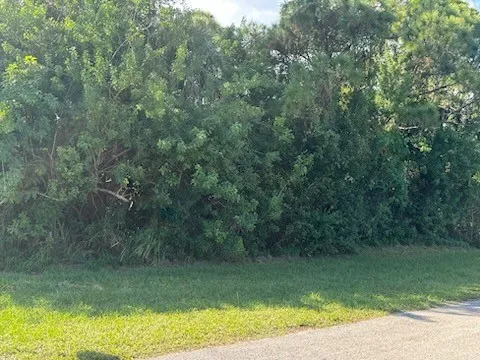 a view of a lake from a yard