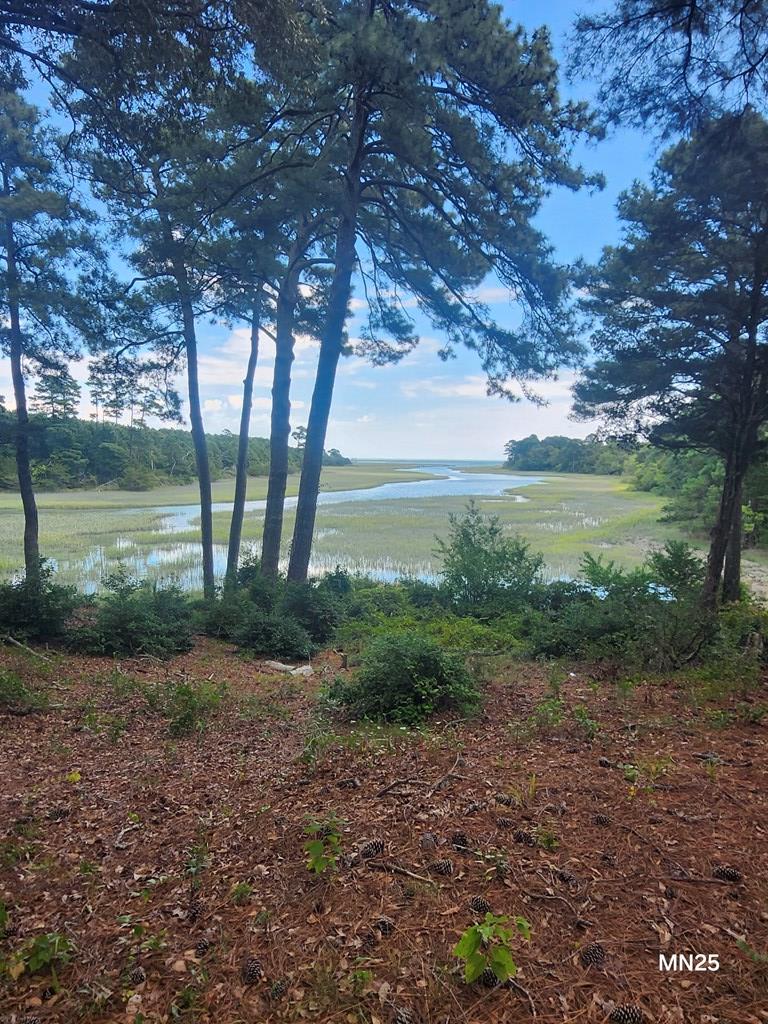 7472 Seaside Road, Unit 3 PAR Cape Charles, VA 23310 - Photo 16 of 35