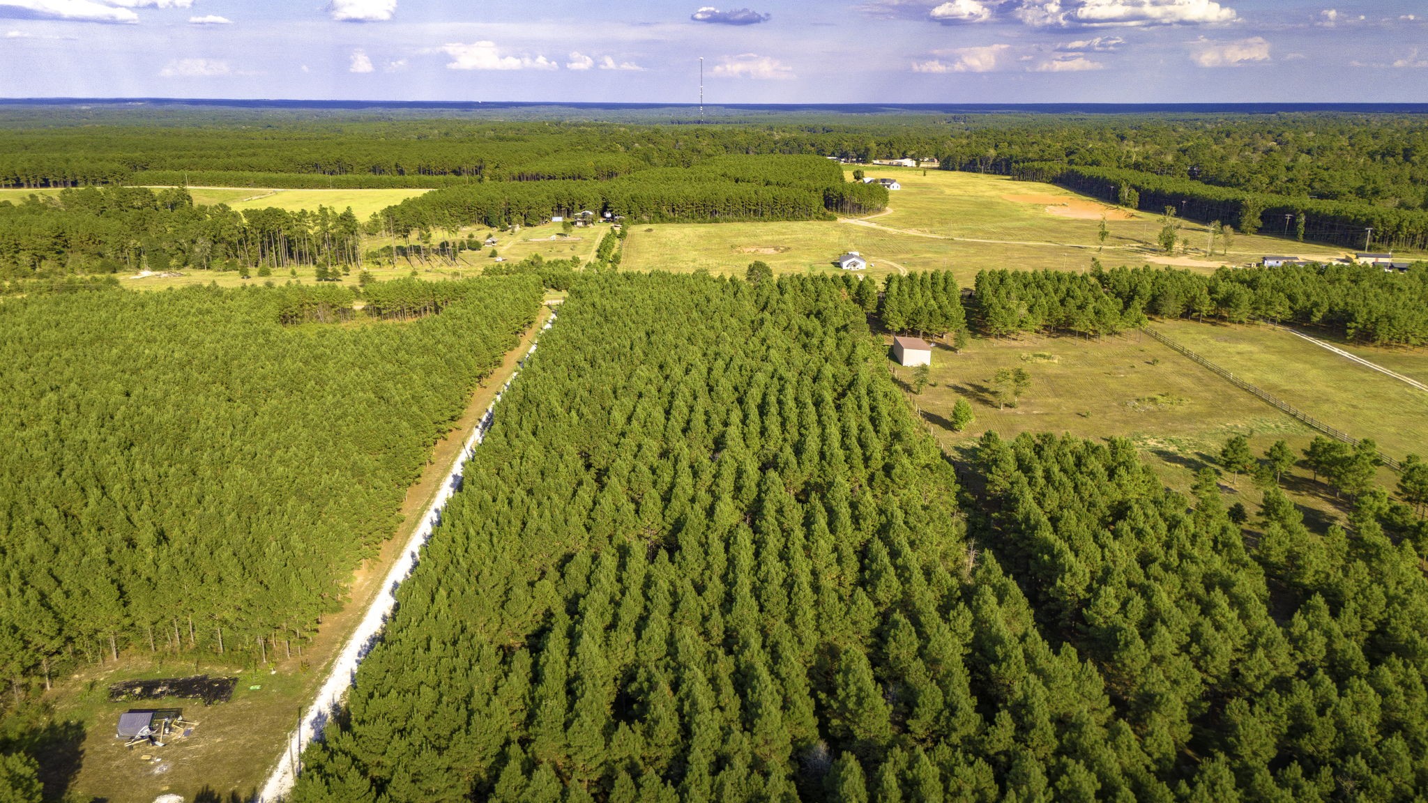 Lot 9 Nursery Road Livingston, TX 77351 - Photo 12 of 27