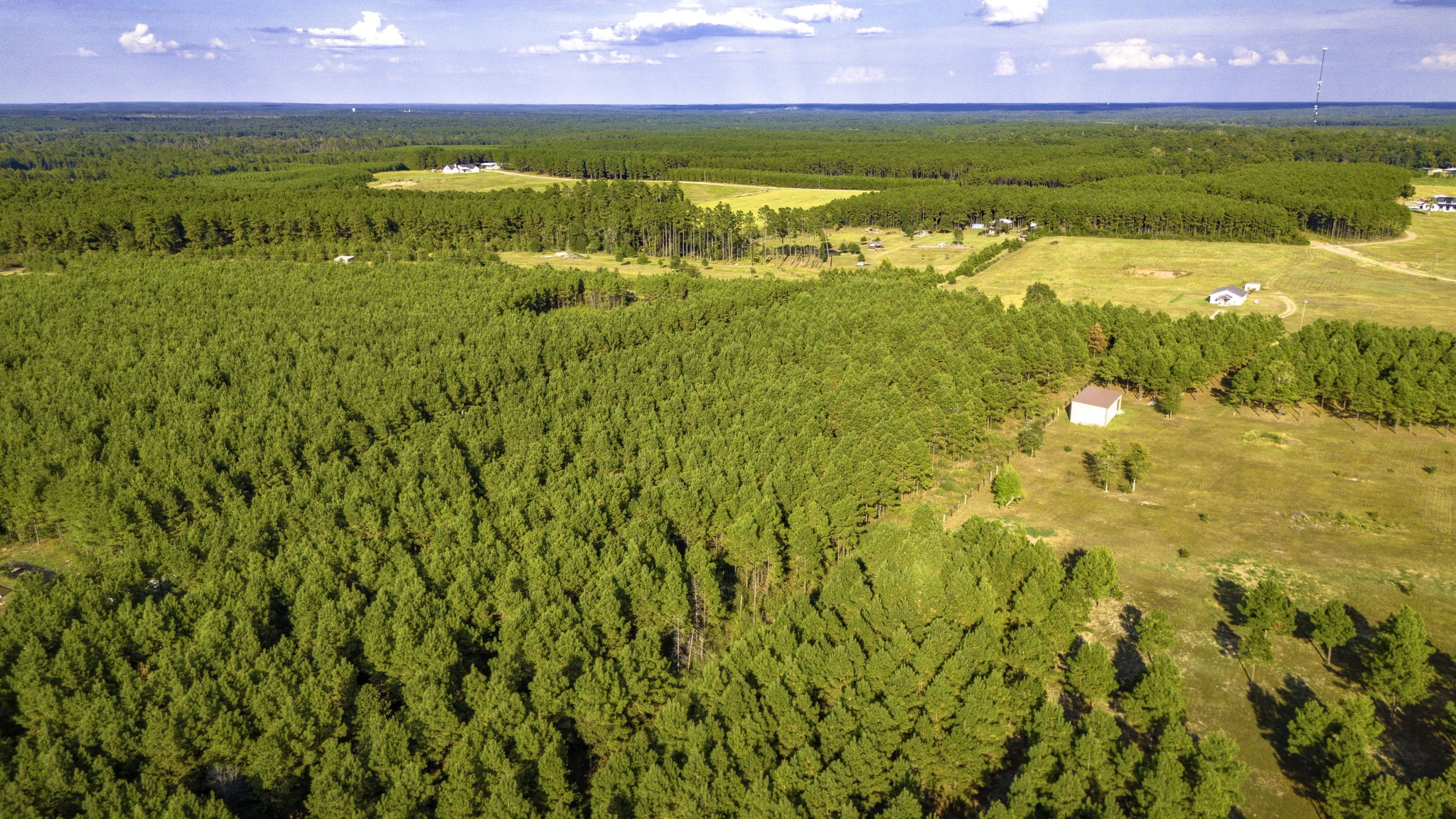 Lot 9 Nursery Road Livingston, TX 77351 - Photo 13 of 27