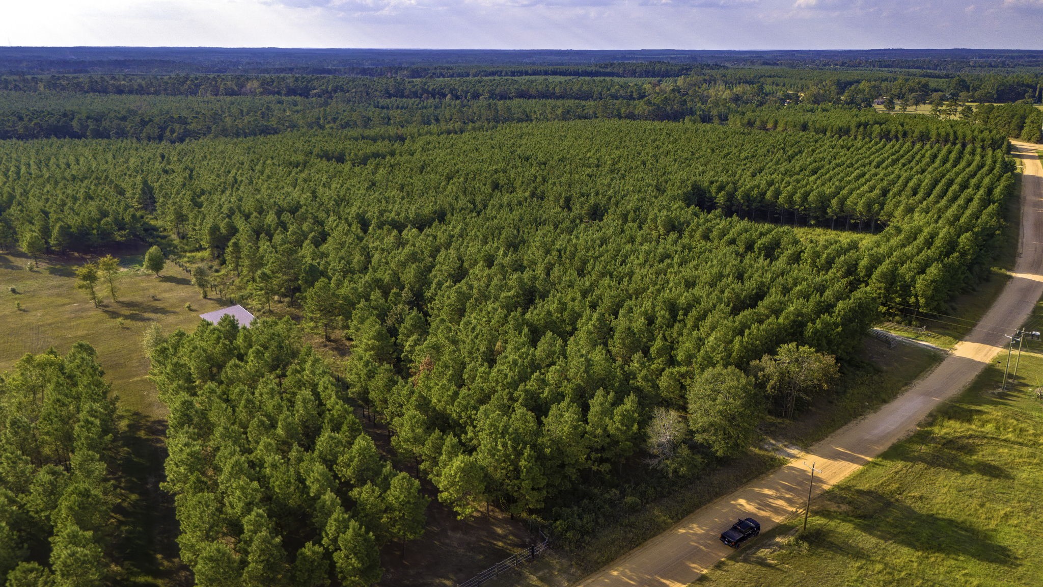 Lot 9 Nursery Road Livingston, TX 77351 - Photo 14 of 27