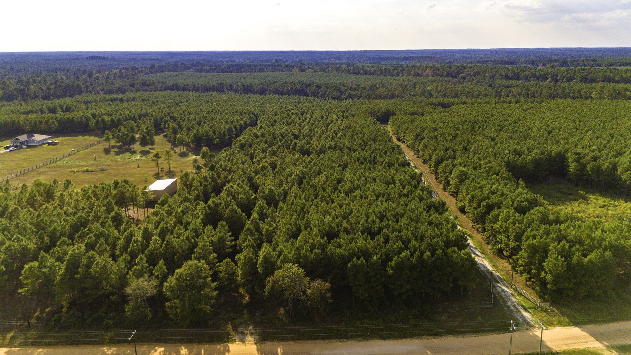 Lot 9 Nursery Road Livingston, TX 77351 - Photo 15 of 27