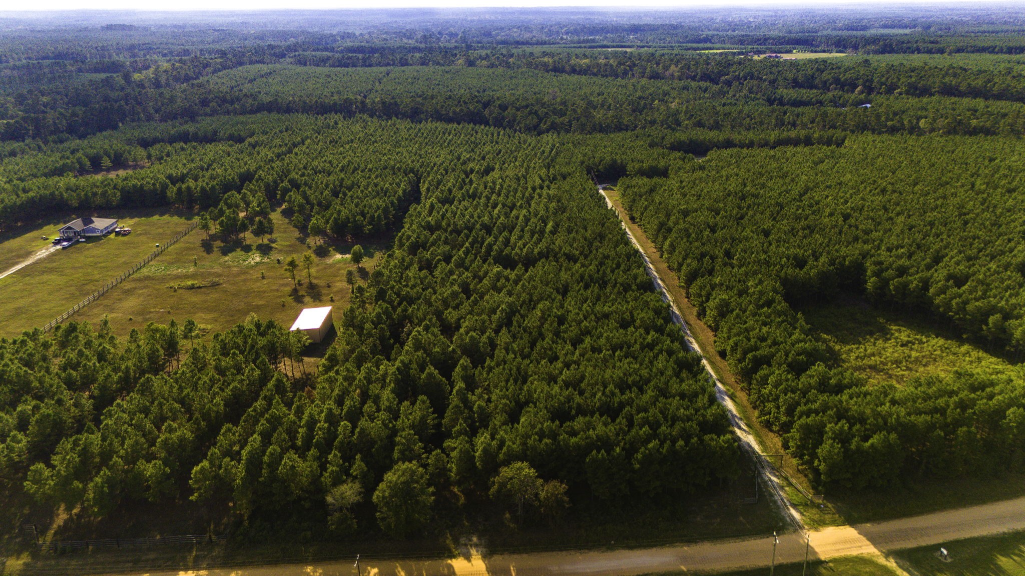 Lot 9 Nursery Road Livingston, TX 77351 - Photo 16 of 27