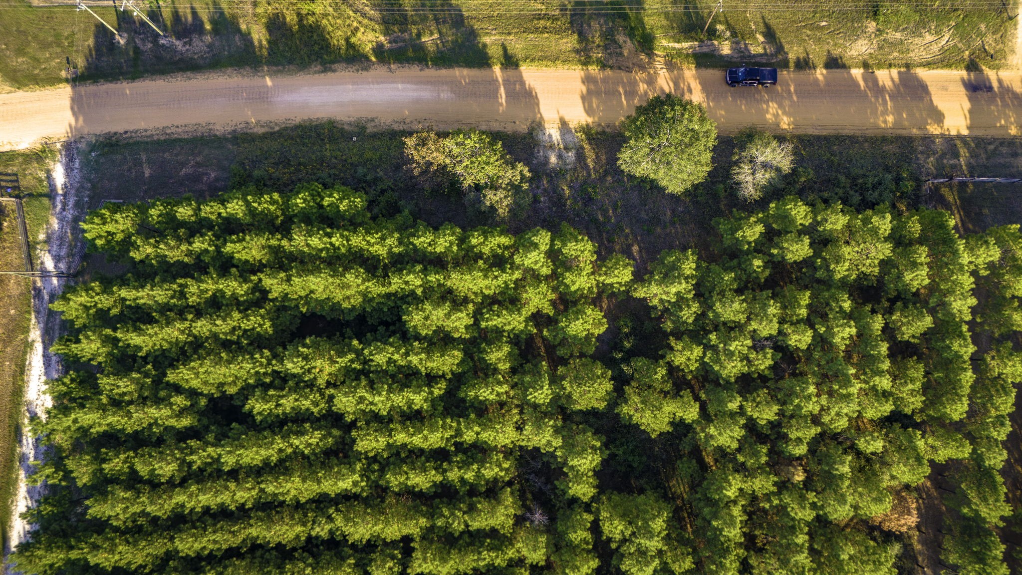 Lot 9 Nursery Road Livingston, TX 77351 - Photo 17 of 27