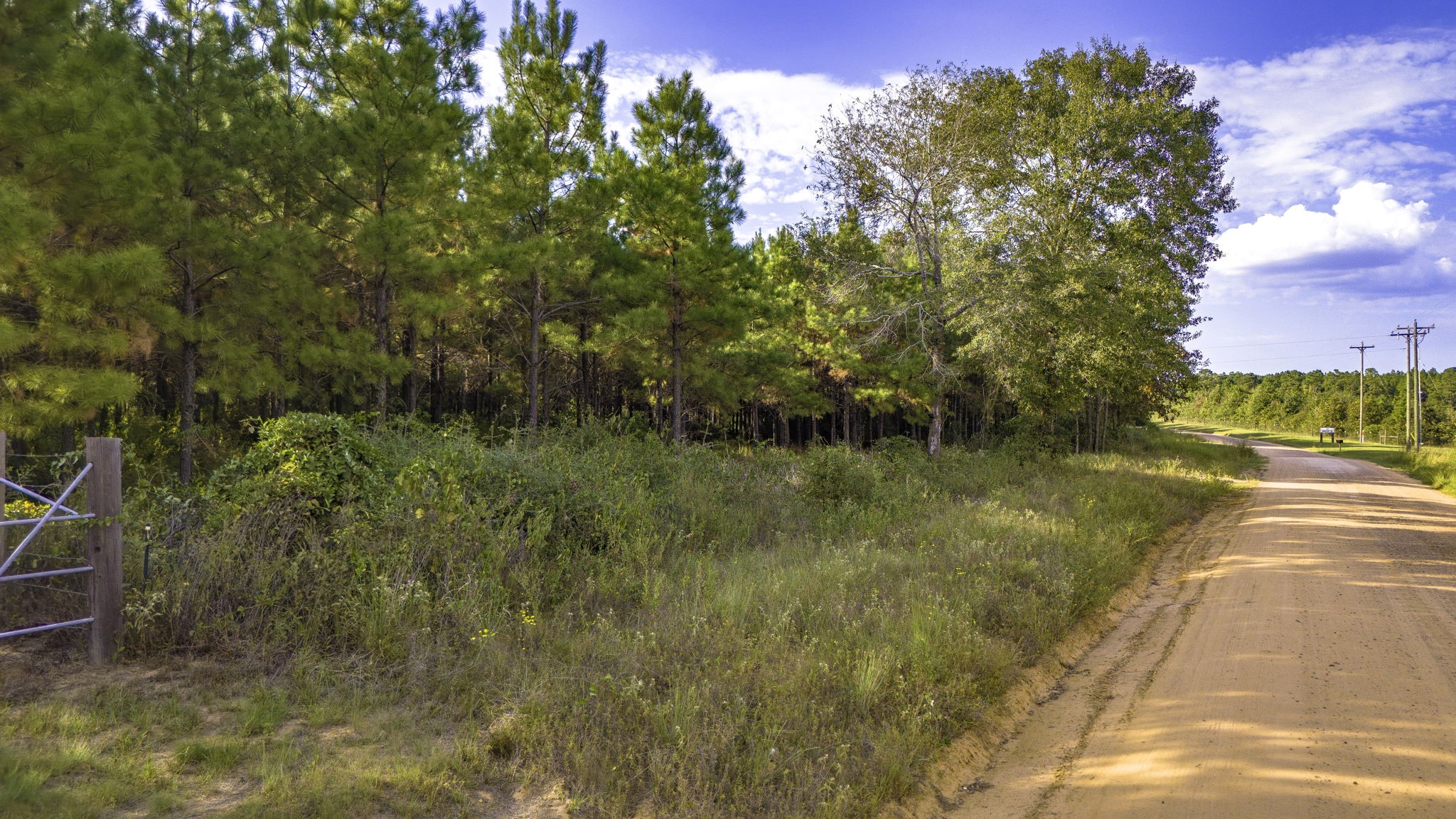 Lot 9 Nursery Road Livingston, TX 77351 - Photo 3 of 27