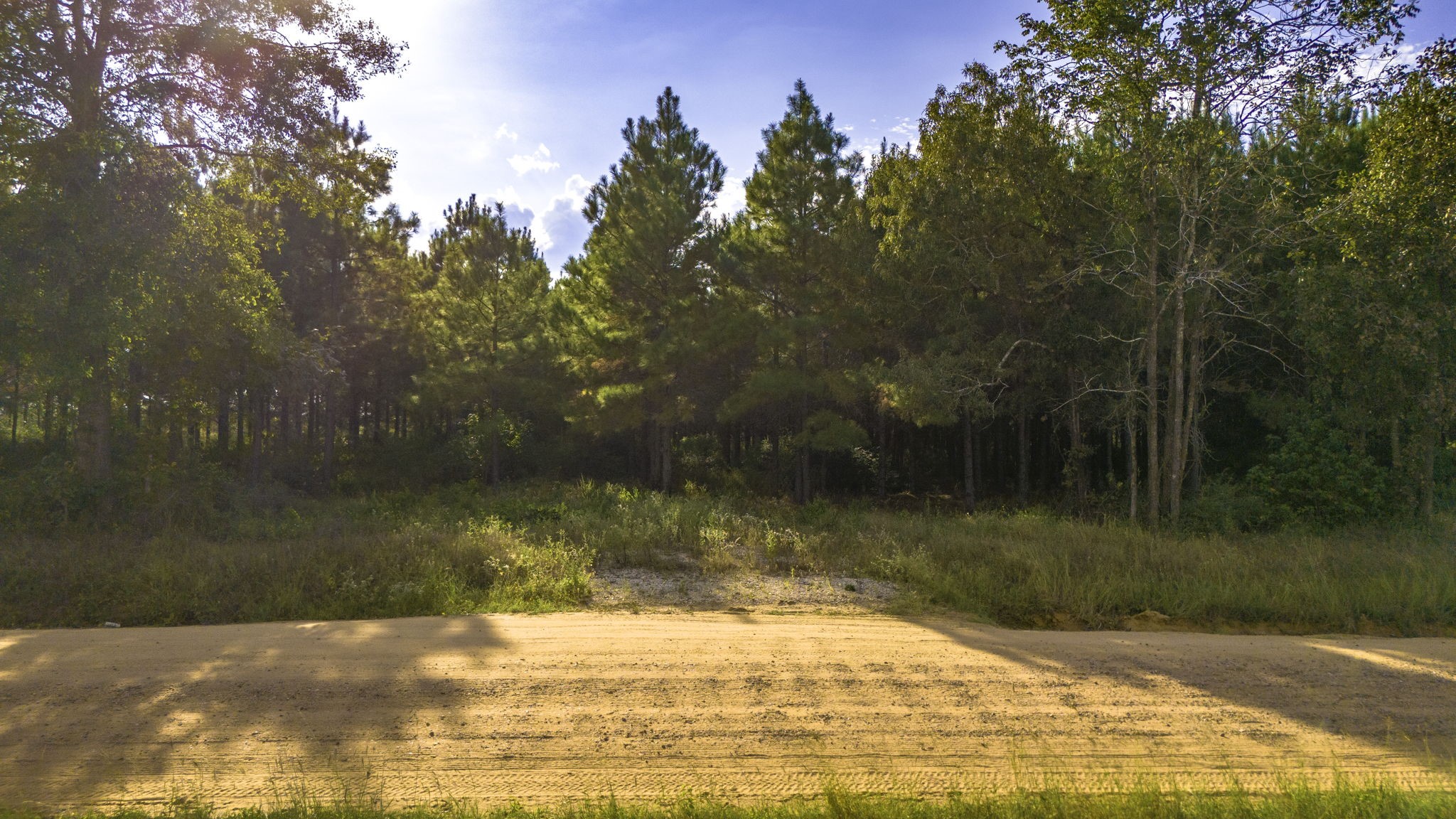 Lot 9 Nursery Road Livingston, TX 77351 - Photo 4 of 27